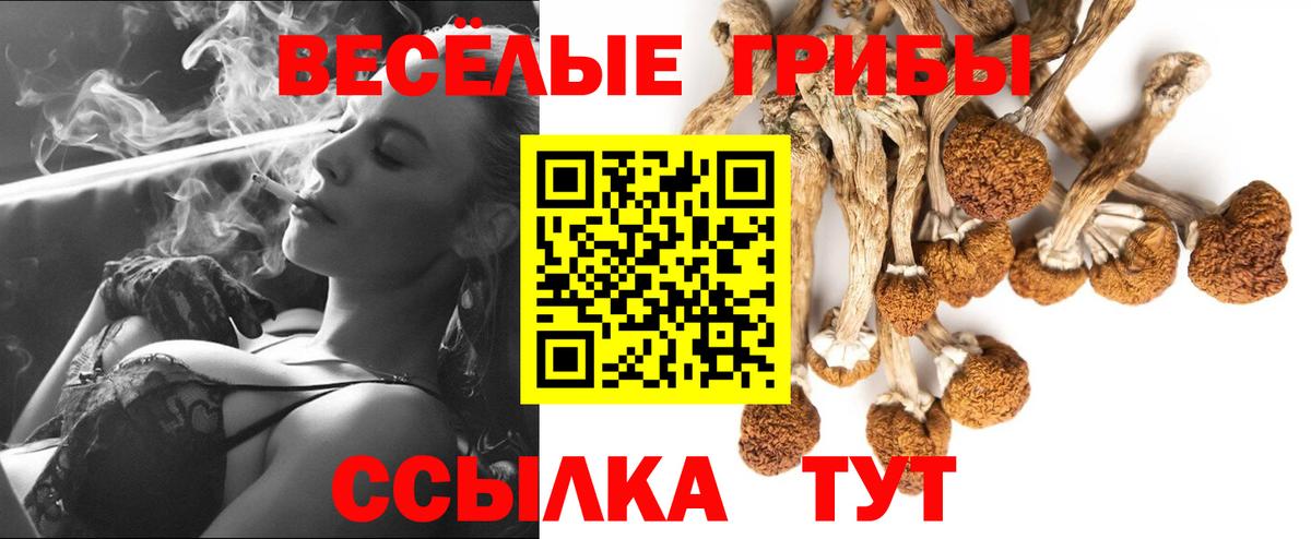Галлюциногенные грибы мицелий  Вход с VPN  Самара 